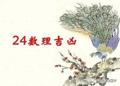 數字24|姓名學中數理24的吉凶運勢